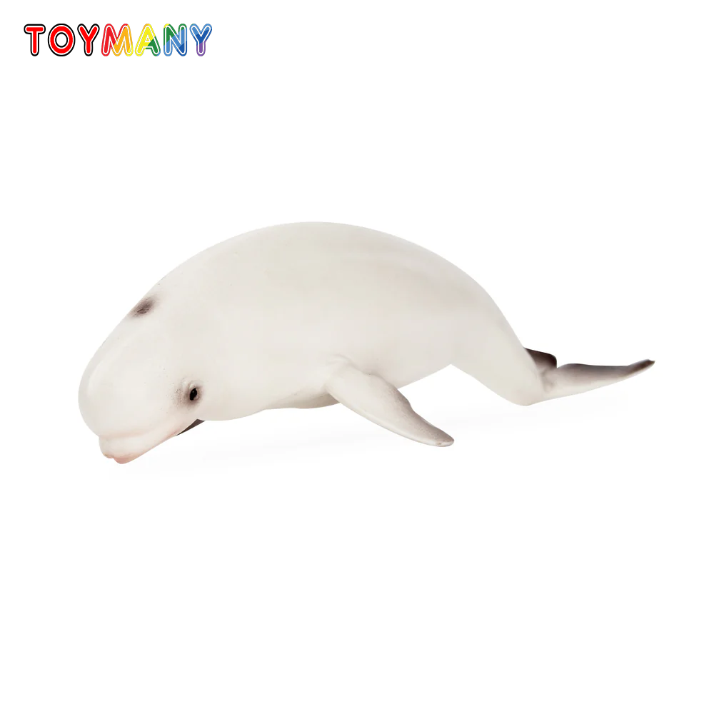 Kids Toys Under $5 - Toymany จําลอง Beluga Whale Ocean สัตว์ของเล่นมินิตัวเลขตุ๊กตา