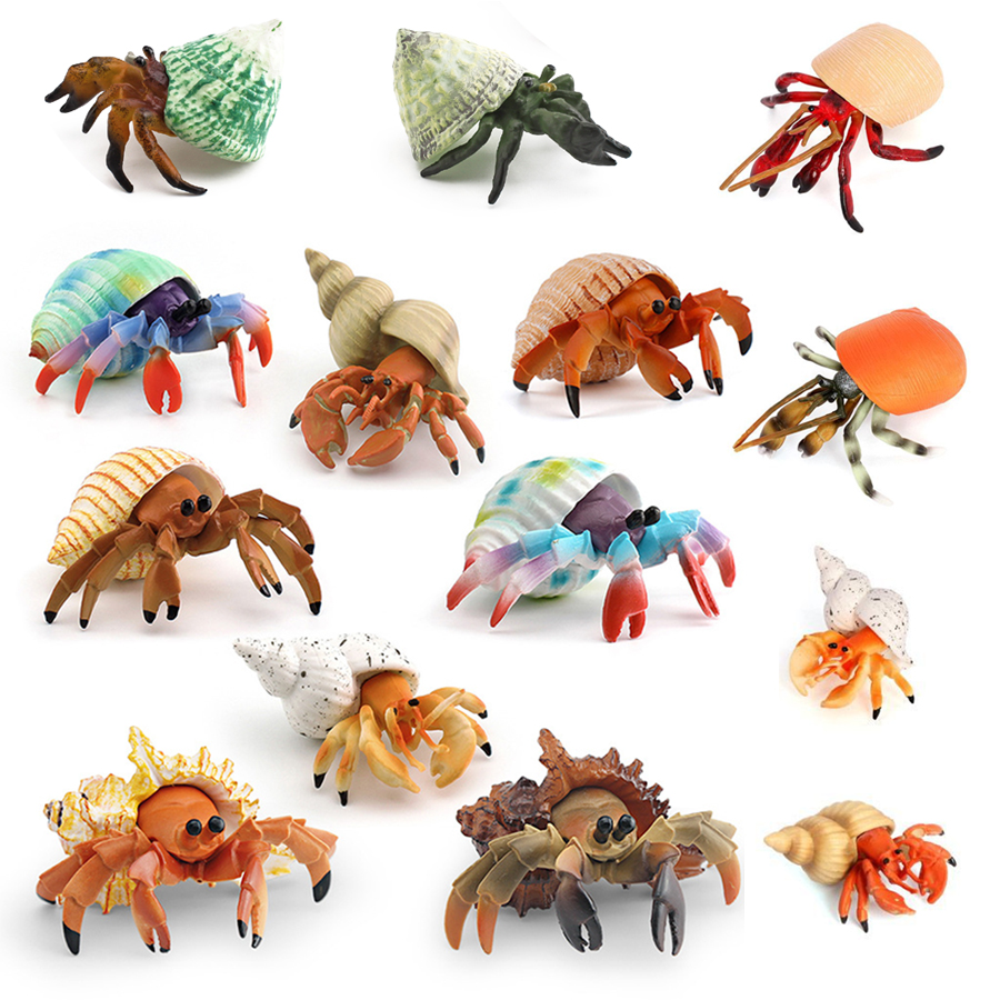 Kids Toys 3 Year Old - รูปปั้นปูเสฉวนสมจริง ทนทาน ทำจาก PVC ของเล่นจำลองสัตว์ทะเล ของเล่นเสริมพัฒนาการสำหรับเด็ก