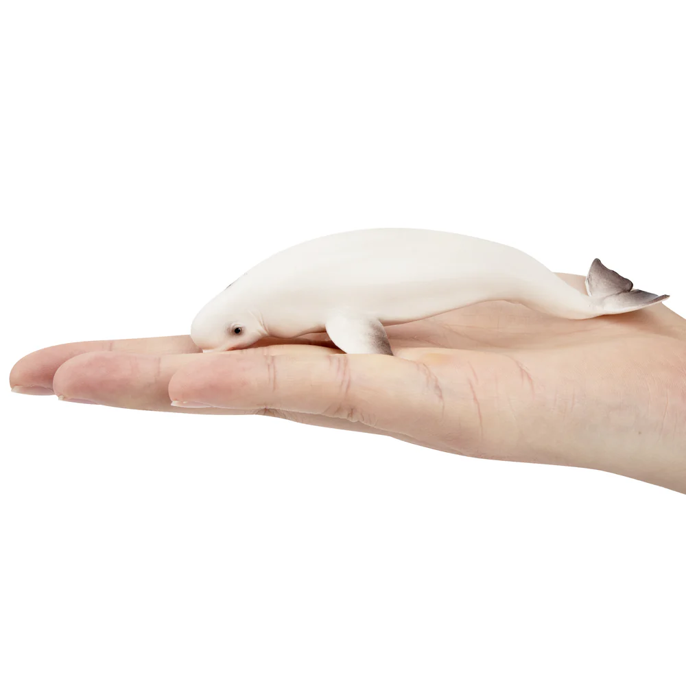 Toymany จําลอง Beluga Whale Oc - Kids Toys Under $5 บทวิจารณ์และราคา