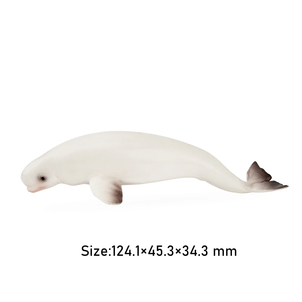 Toymany จําลอง Beluga Whale Oc - Kids Toys Under $5 บทวิจารณ์และราคา