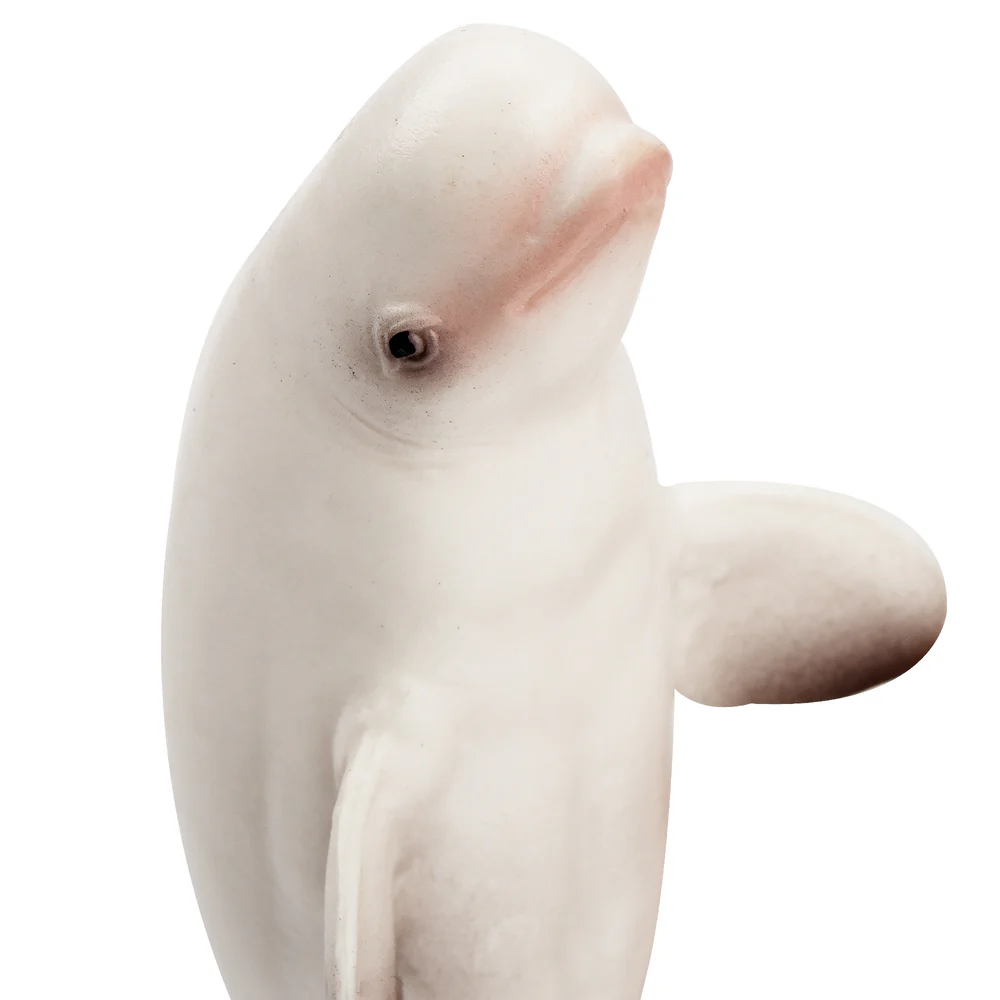 Toymany จําลอง Beluga Whale Oc - Kids Toys Under $5 บทวิจารณ์และราคา