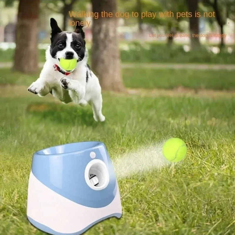 เครื่องยิงลูกเทนนิสอัตโนมัติสำ - Catapult Launcher Toy บทวิจารณ์และราคา