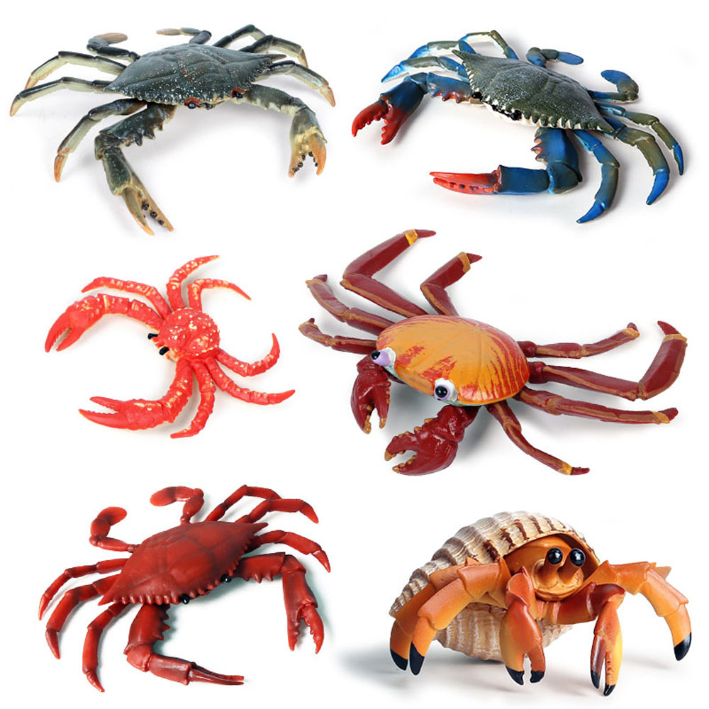 เด็กทารกของเล่นเด็กสัตว์ทะเลPr - Kids Toys Stores บทวิจารณ์และราคา