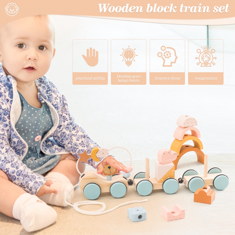 ไม้ Montessori ของเล่นบล็อกสัต - Kids Toys 2 Year Old บทวิจารณ์และราคา
